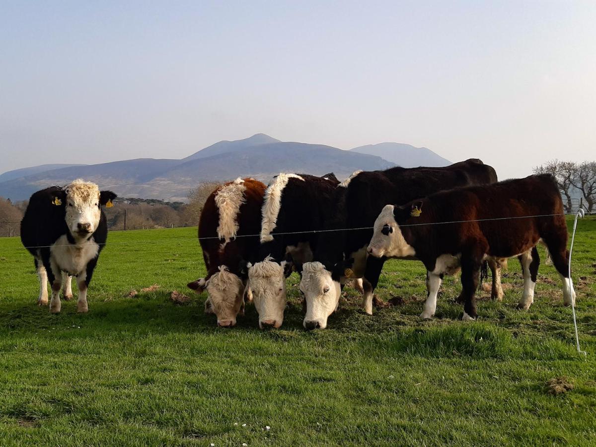 Inveraray Farm Beaufort Bagian luar foto