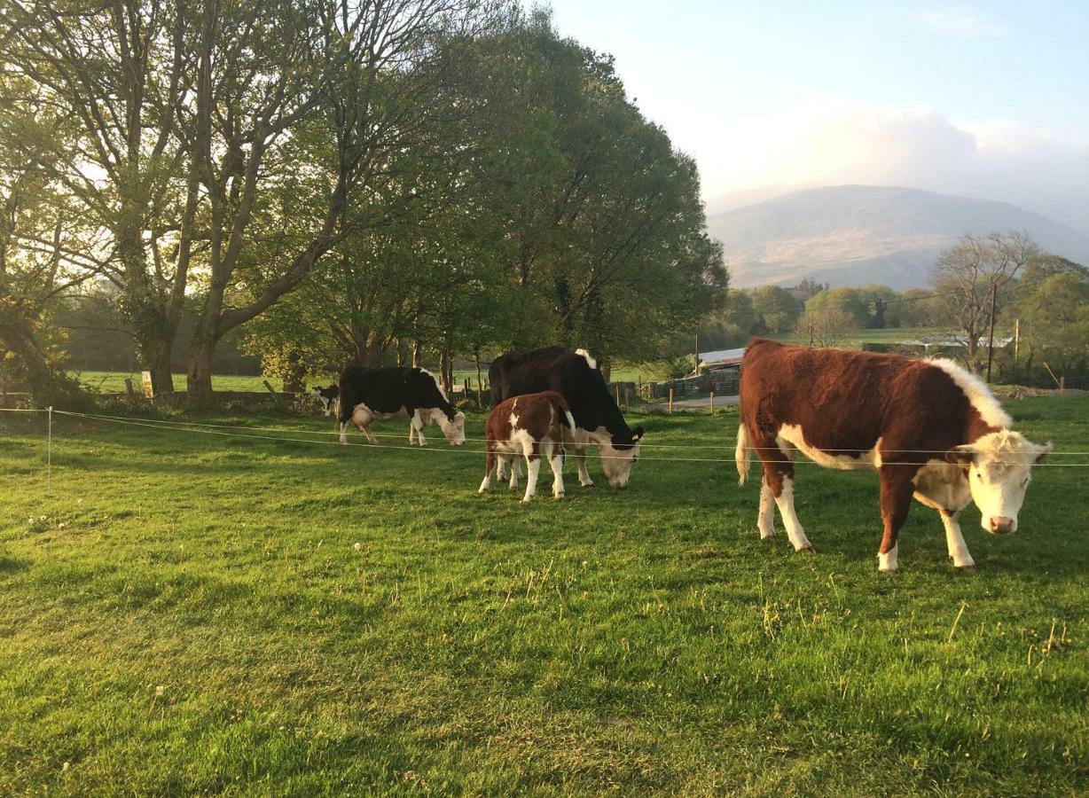 Inveraray Farm Beaufort Bagian luar foto